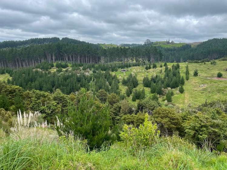 609a Bickerstaffe Road Maungaturoto_14