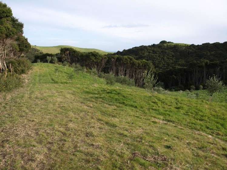 379a Cowes Bay Road Waiheke Island_13