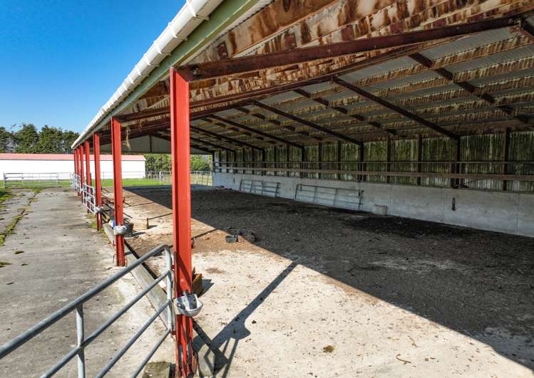 57 Island Edendale Road Edendale_12