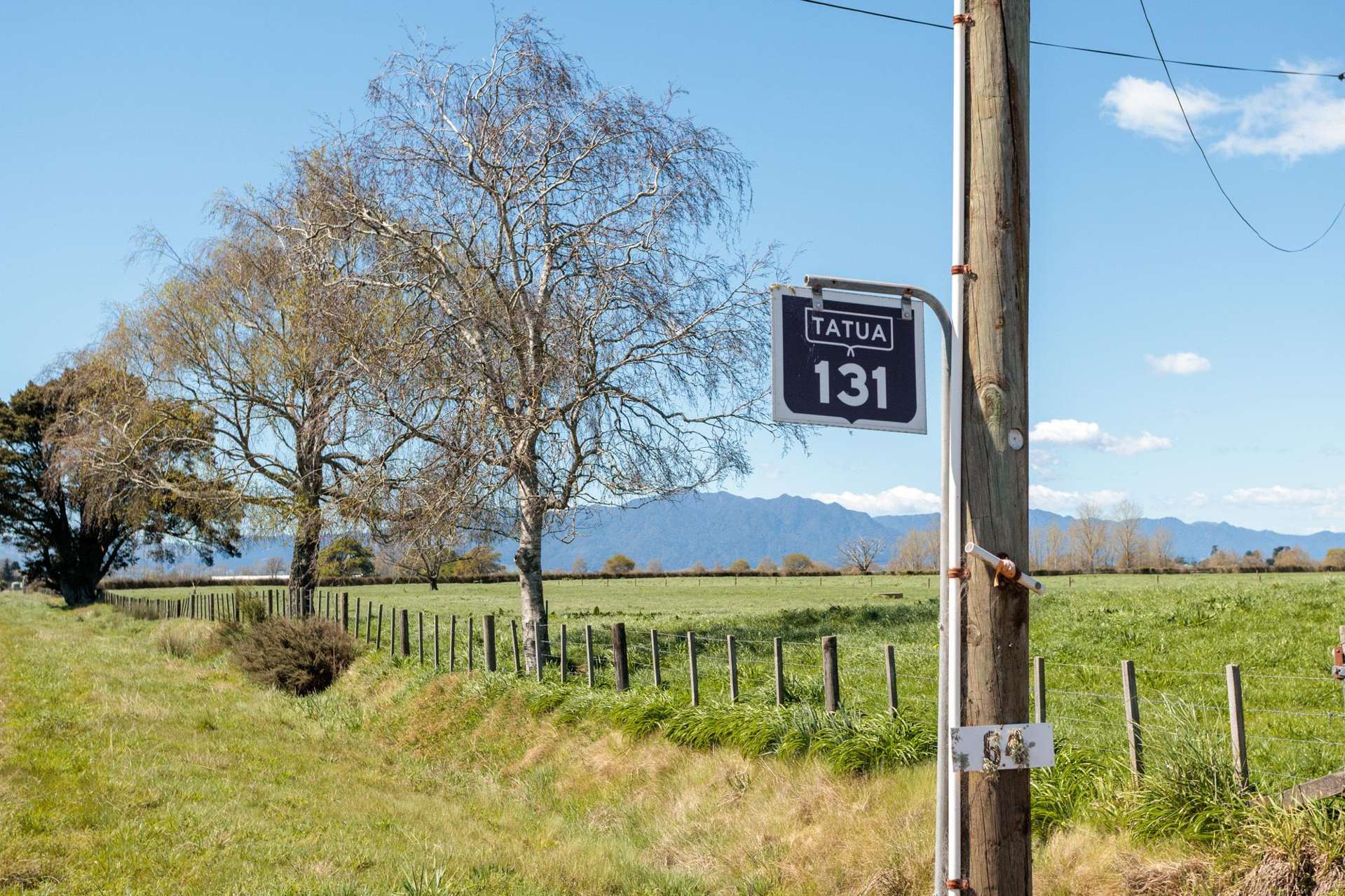 64 No 4 Road Morrinsville_0
