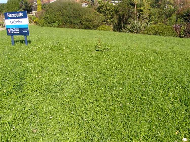 30 Speranza Avenue Otaki_3