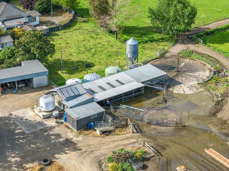 264 Matatoki Road Matatoki_8