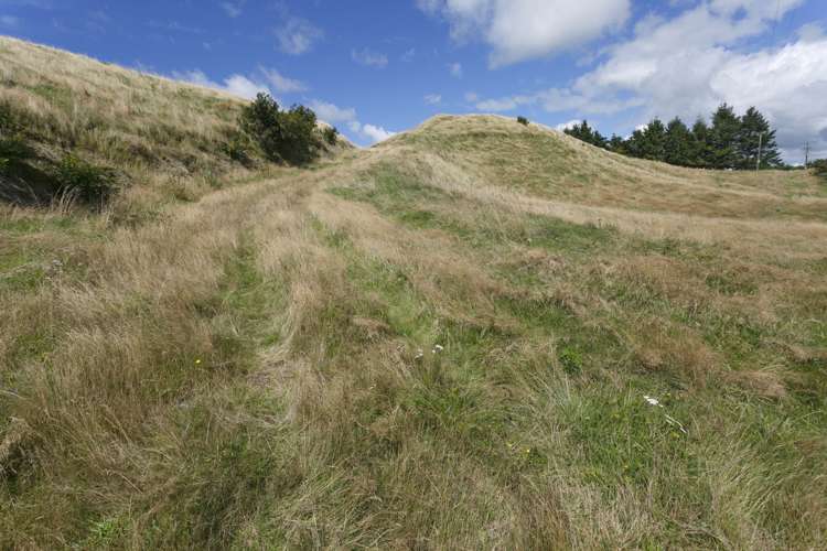 459 Otake Road Marotiri_9