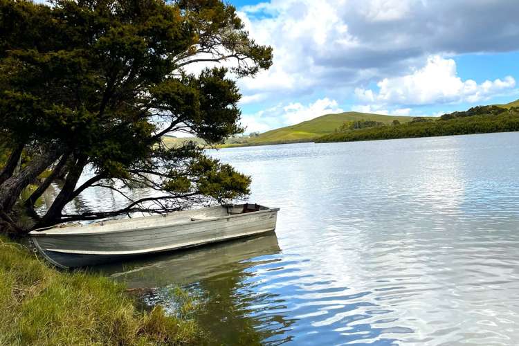 Lot 2 Waimanu Road_1