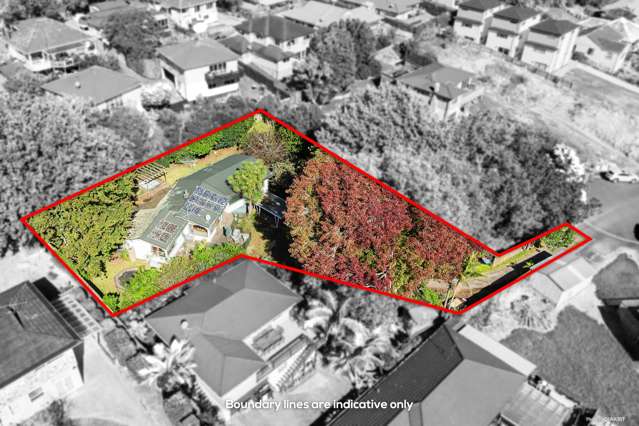 1,427sqm of Suburban-Zoned Potential