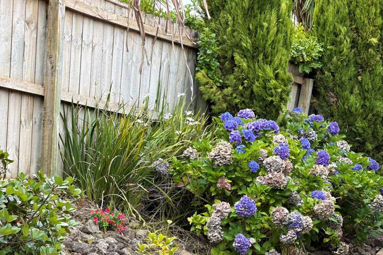 42 Savoy Road Orewa_22