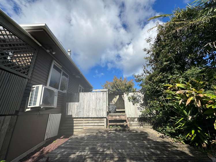 63 Sheridan Drive New Lynn_11