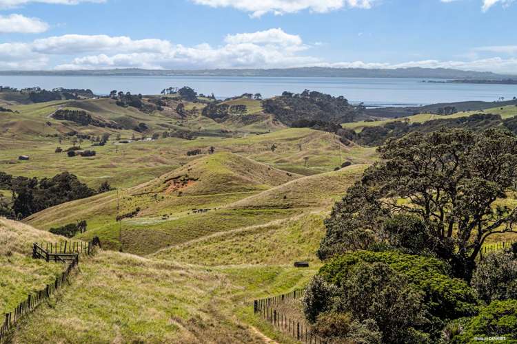 1672 Awhitu Road Waiuku_11