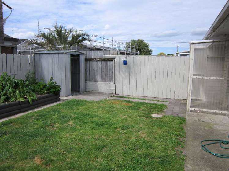 46 Concord Avenue Mount Maunganui_4