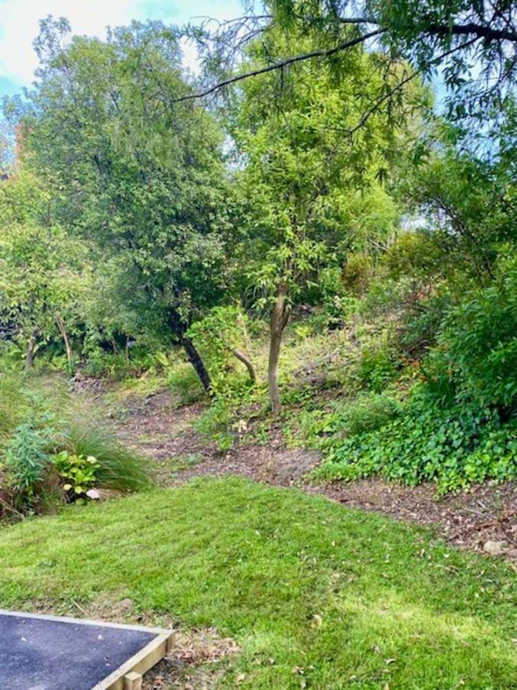 4a & 6 McIntosh Road Brighton_20