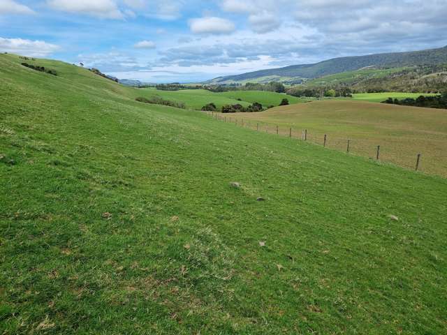 Tahakopa Valley Road Catlins Surrounds_2