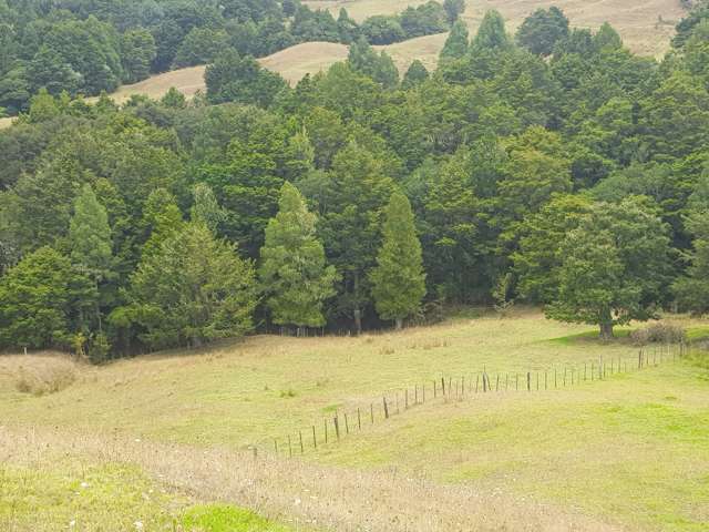 160 Otuhi Road Mangapai and Surrounds_1