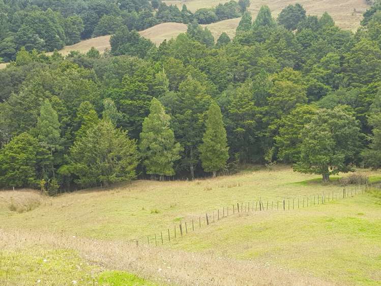 160 Otuhi Road Mangapai and Surrounds_1