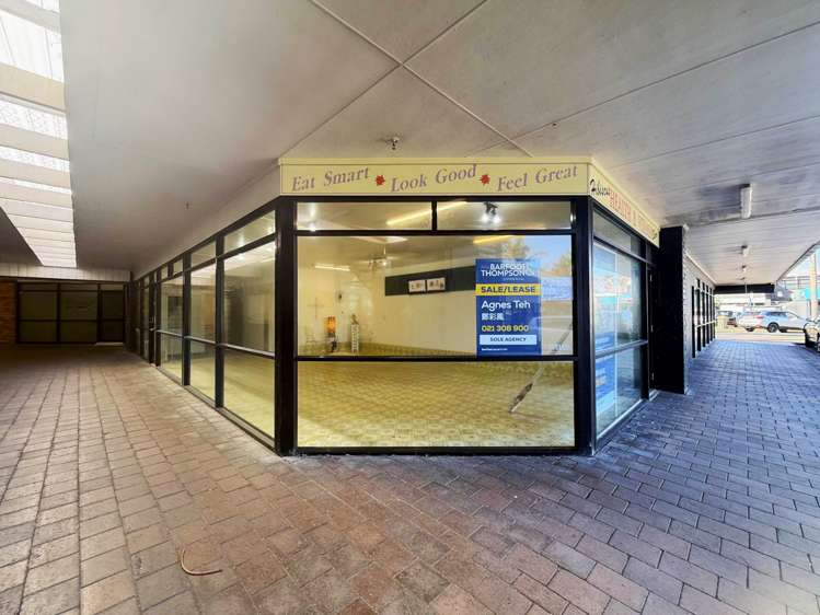 Unit I/3 Tamariki Avenue_0