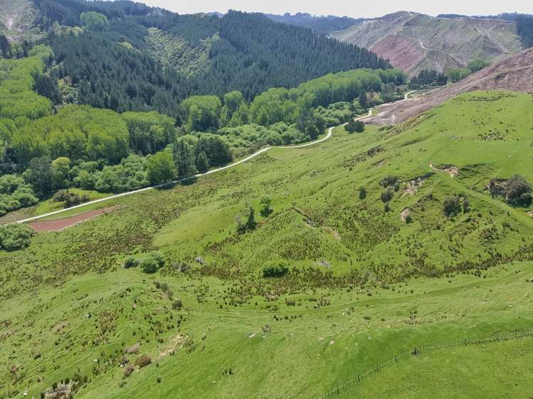 370 Matatara Road Parikino_2