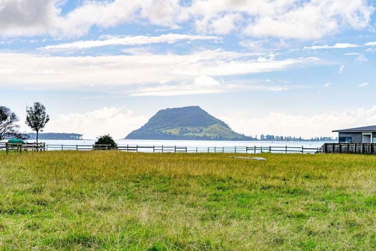 176 Ngatai Road Otumoetai_20