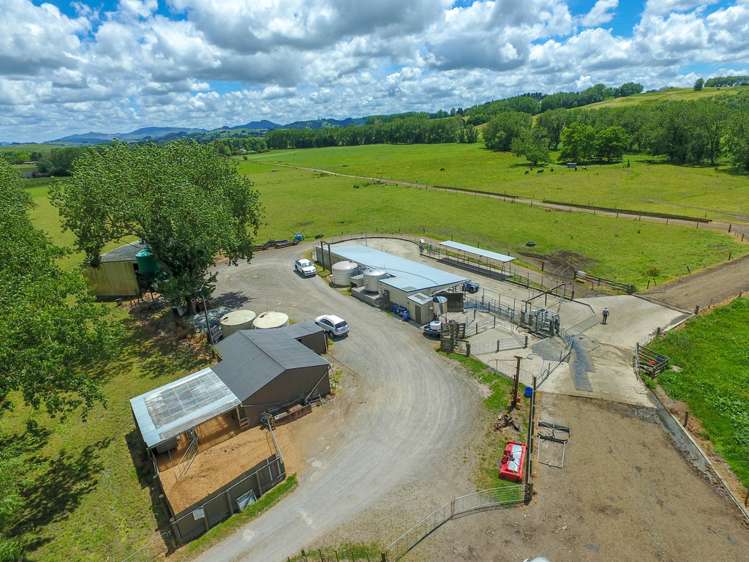 269 Kokopu Block Road Kokopu_4