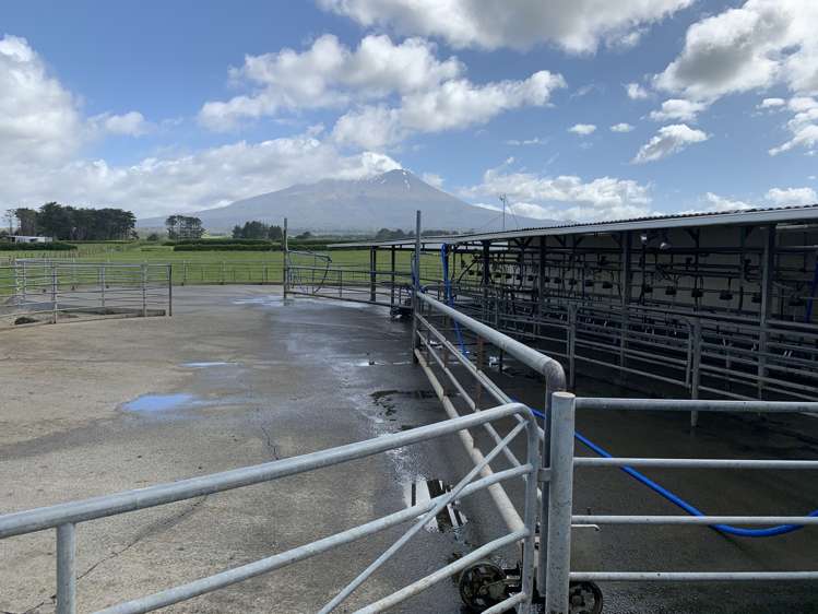 2372 Opunake Road Awatuna_7