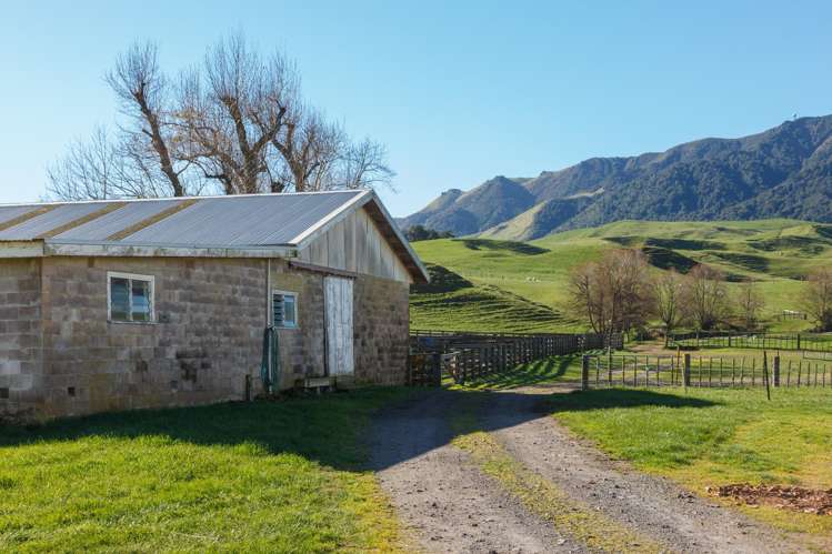 134 Old Te Aroha Road Te Poi_9