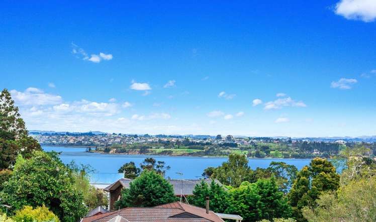 3b Odin Place Beach Haven_16