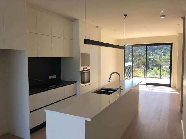 7 Cutty Sark Road Hobsonville_1