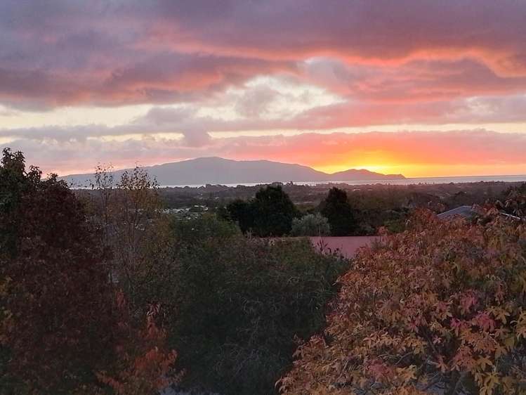 47 Kakariki Grove Waikanae_34