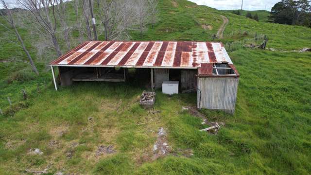 189 Broadwood Road Broadwood_4