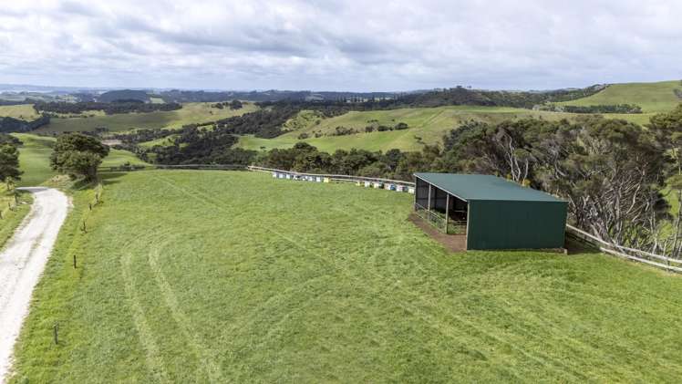 147 Fuller Road, South Head Helensville_0