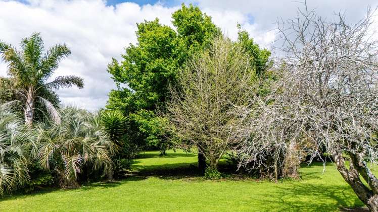 112 Wellington Street Opotiki_21