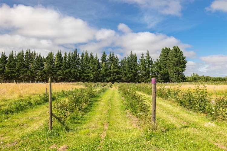 651 Pound Road Yaldhurst_20