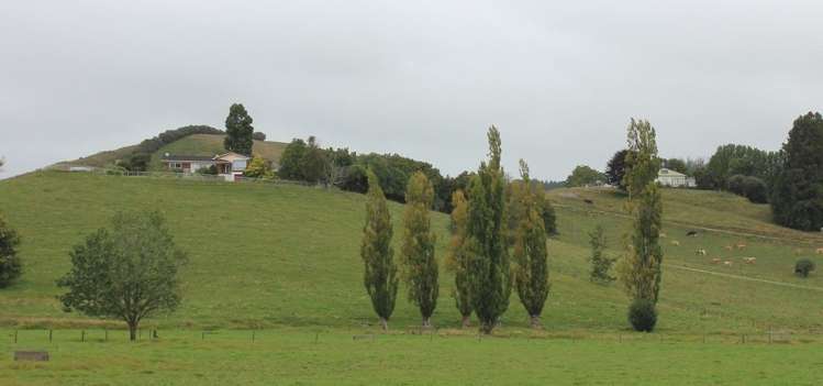 85 Veale Road Otorohanga_3