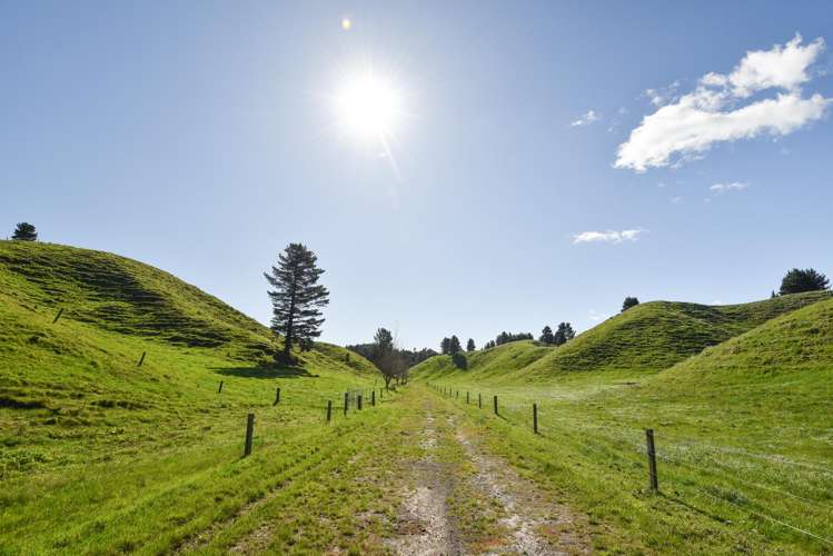 248 Lichenstein Road Okere Falls_1