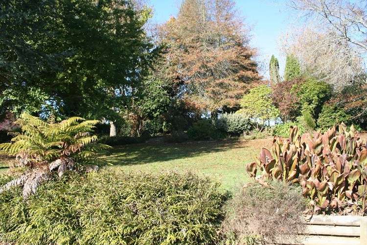 207 Mangaorongo Road Otorohanga_6