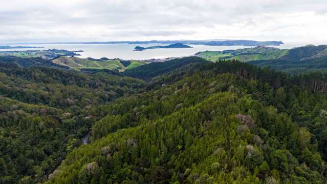 322 Kawakawa-Orere Road Kawakawa Bay_2