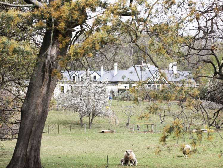 527 Burnside Road Enfield and Surrounds_19