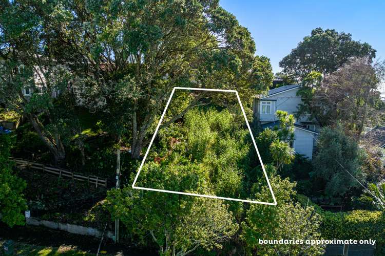 64 Tohunga Crescent Parnell_5