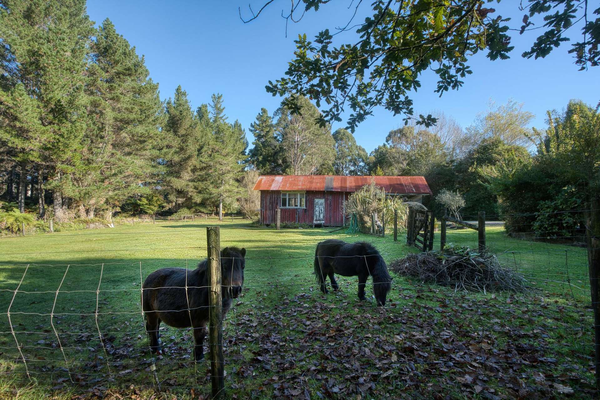 89 Russell Road Kaniere_0