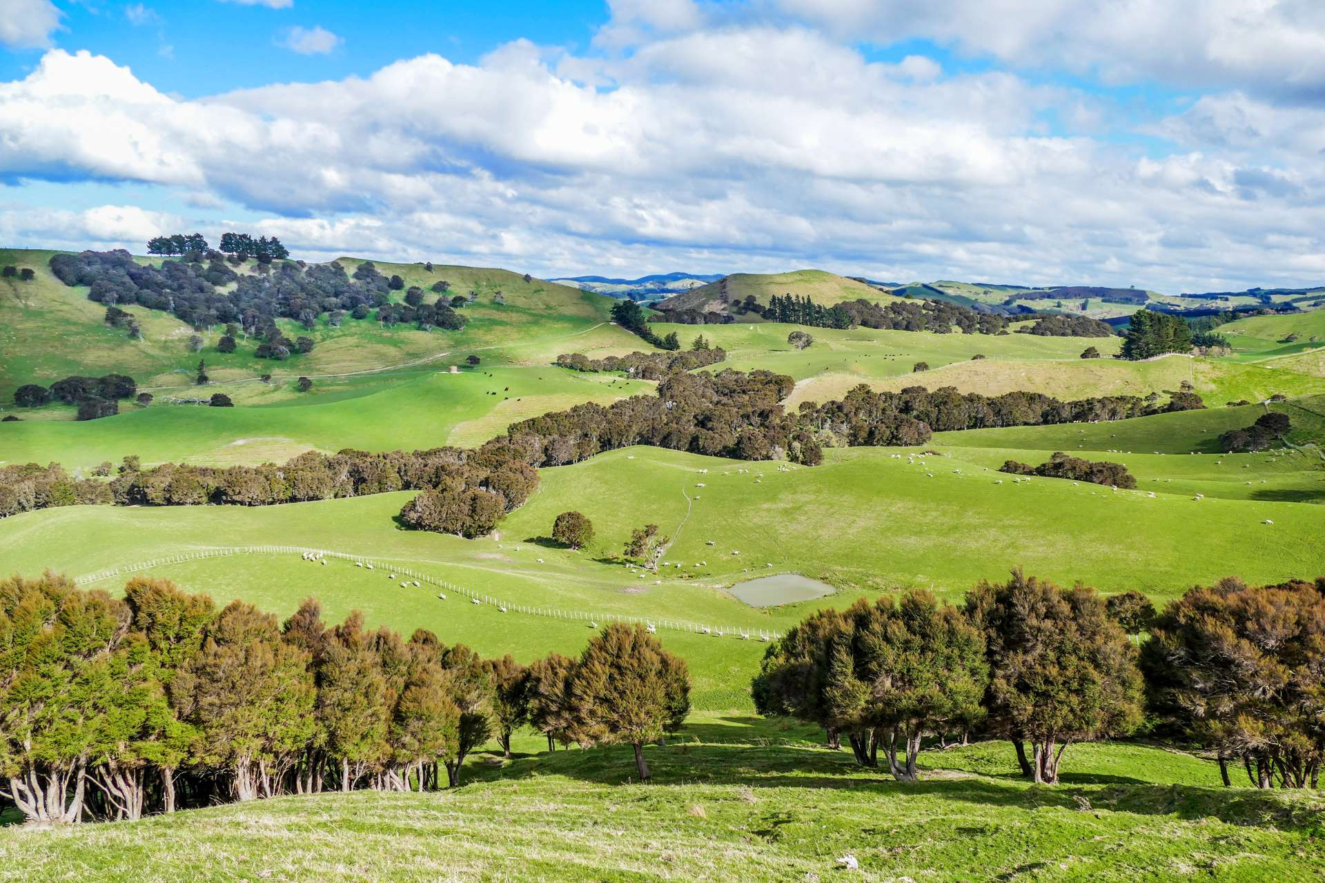 1312 Ngahape Road Central Hawkes Bay Country_0