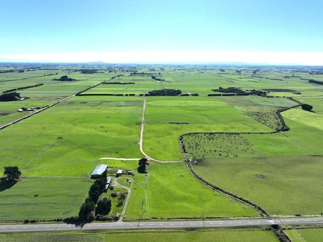 79 Tapper Road, Farm 3 Rimu_1