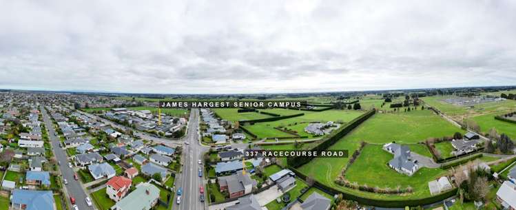 337 Racecourse Road Waverley_41