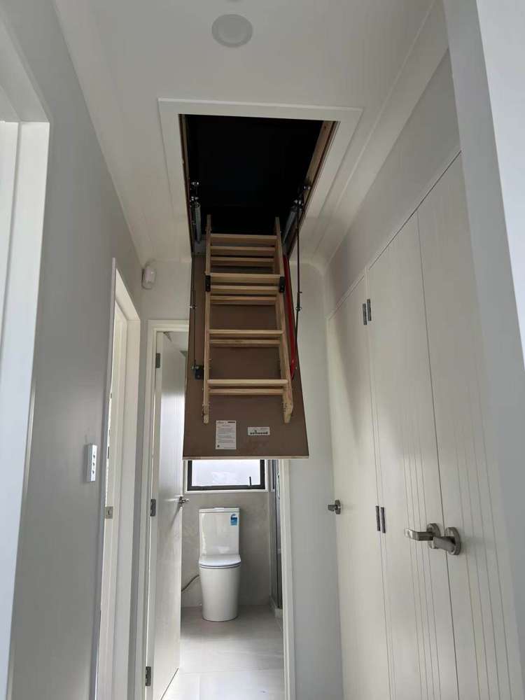 73c Salamanca Road Sunnynook_25