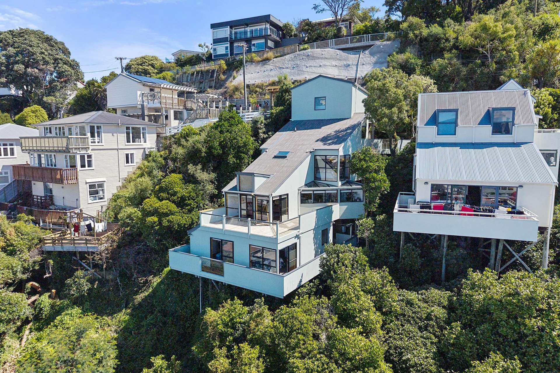 80 Tio Tio Road Seatoun_0