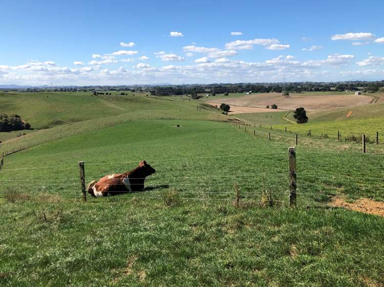 35 Grove Access Road_0