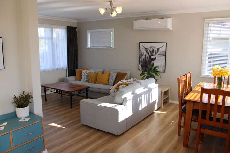 7 Roosevelt Street Levin_6