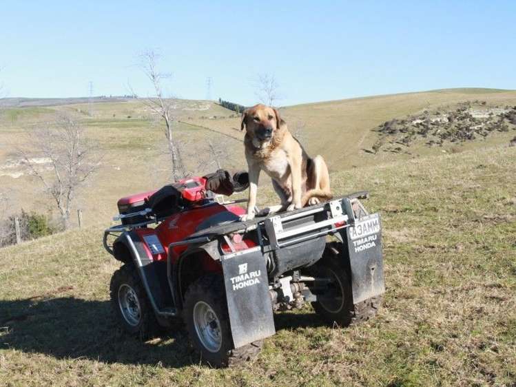 20 Three Mile Bush Road Pleasant Point_19