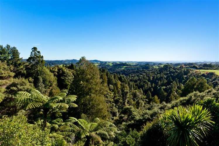 1055 Scenic Drive Swanson_39