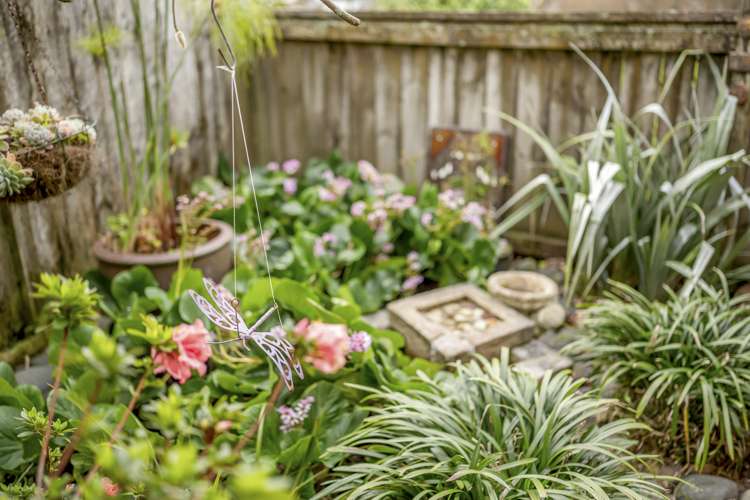 21 John Brooke Crescent East Tamaki Heights_20