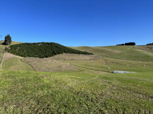 - Peaks Road Windsor_4