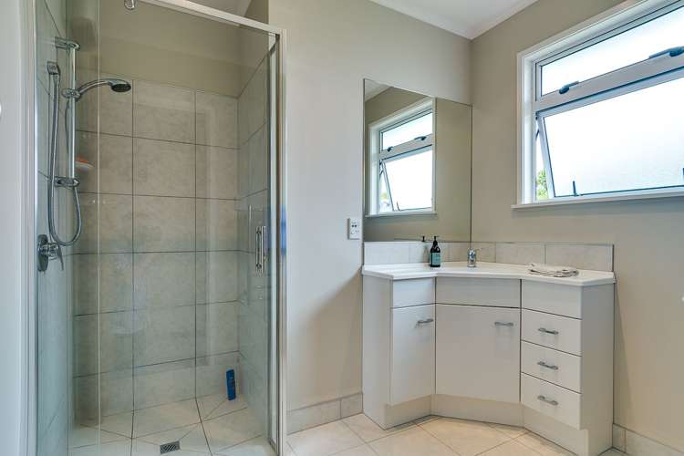 31 Plunket Street Tamatea_8