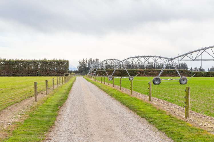 684 Telegraph Road Selwyn_5